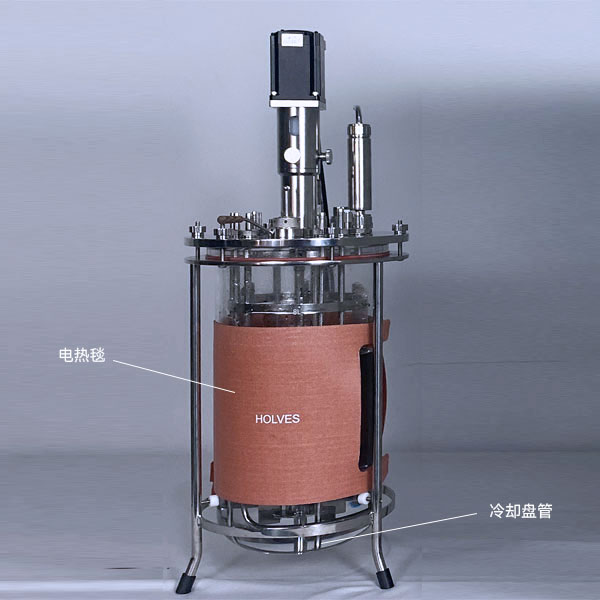 尊龙(中国)时凯集团（HOLVES）实验发酵罐